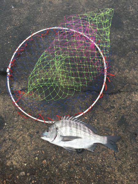 久しぶりの円錐ウキ