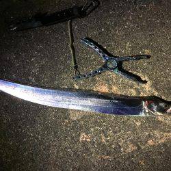 アジングのはずが…