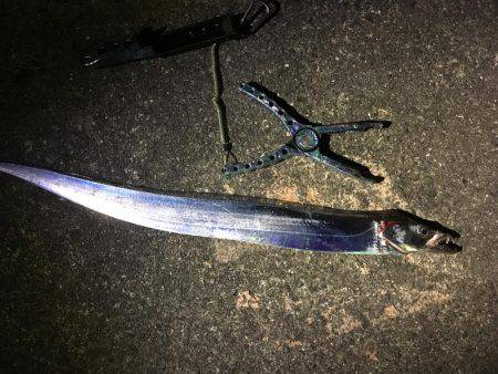 アジングのはずが…