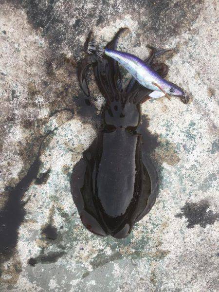 やっとこさです