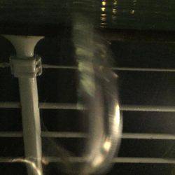 初投稿タチウオ