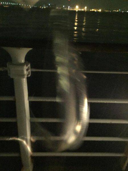 初投稿タチウオ