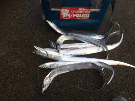 雨の中、マイポイントで朝練