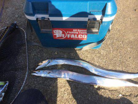 マイポイントで朝練