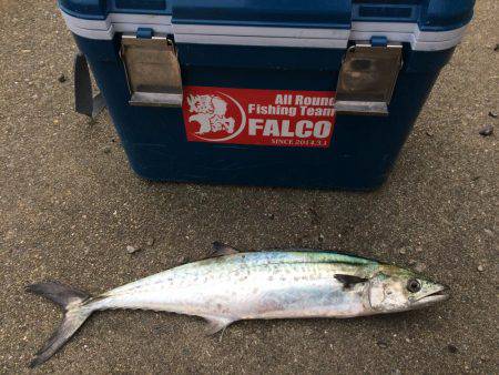 マイポイントで朝練