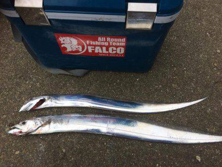 マイポイントで朝練