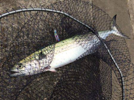 厳しい状況での意地の1本