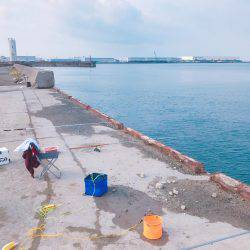 またもやサビキ釣り