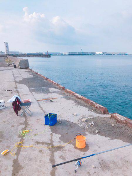 またもやサビキ釣り