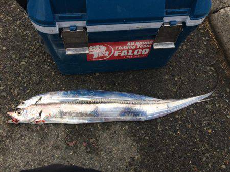 貸切状態やけど渋い