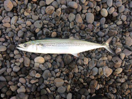 久しぶりの遠征