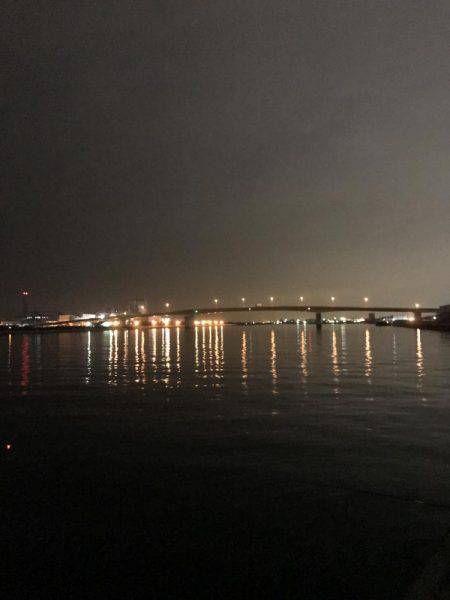 太刀魚とサビキ