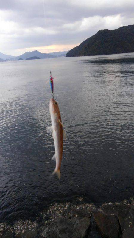 エソしか釣れへん