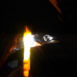 タチウオ&アジング