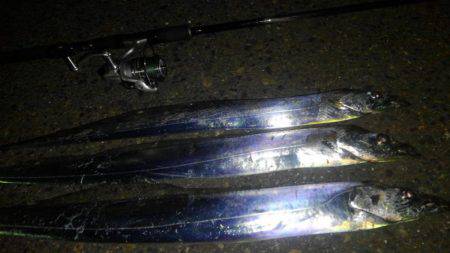 ドラゴン狩り！！