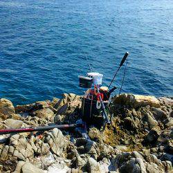 今シーズン初陣です