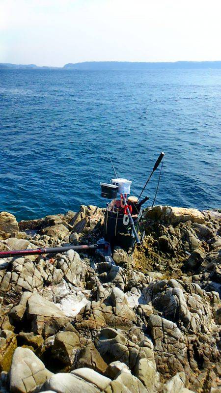 今シーズン初陣です