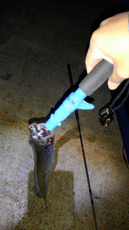 青物はどこにおるんや。。。