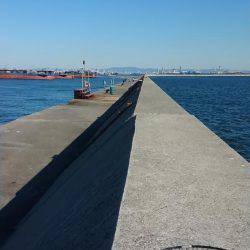 久しぶりに堪能