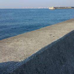 カタクチイワシは、いるけと？