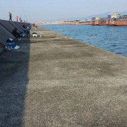 青物が釣りたい！