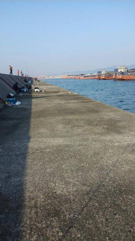 青物が釣りたい！