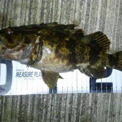 湾奥ロックゲーム開幕!