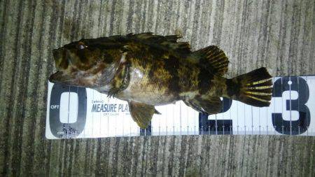 湾奥ロックゲーム開幕!