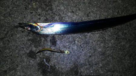 翼港、タチウオ