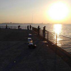 南芦屋浜でメーターオーバー