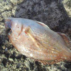 ぽかぽか陽気で