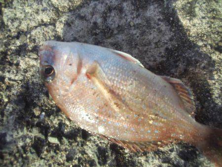 ぽかぽか陽気で