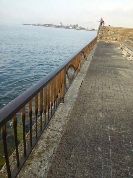 久しぶりの夕方からのタチウオ