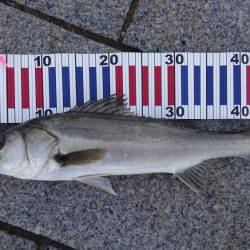 かぶと山公園にて(笑)。