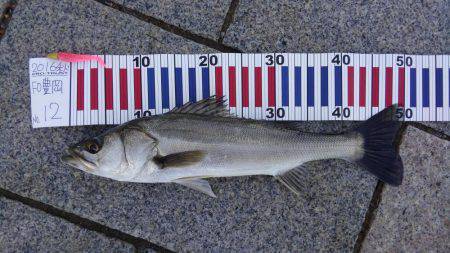 かぶと山公園にて(笑)。