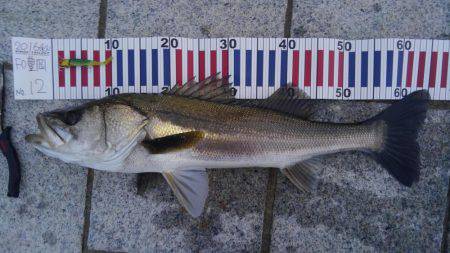 かぶと山公園にて。