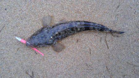 かぶと山公園にて(笑)。