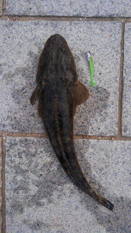 かぶと山公園にて(笑)