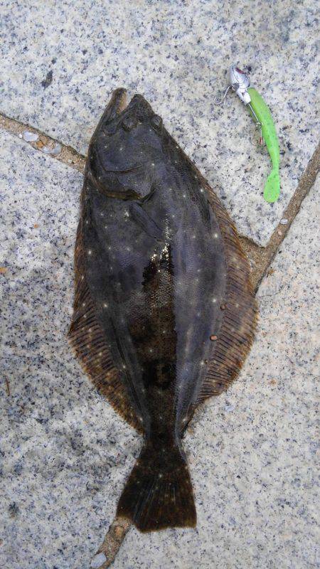 かぶと山公園にて(笑)。