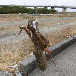 何とか絞り出しました