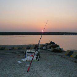 久しぶりに浦港へ釣行しました