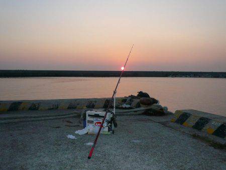 久しぶりに浦港へ釣行しました