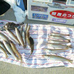 西淡の落ちは、まだか