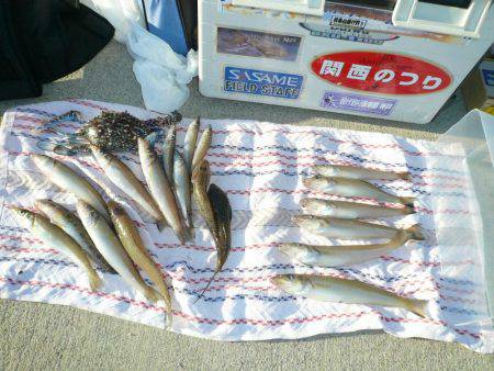 西淡の落ちは、まだか