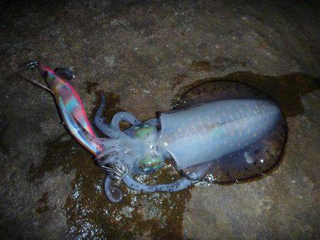 サイズが出ない