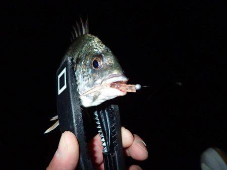 ボトムアジング！