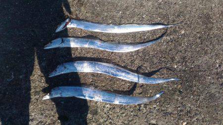 イレブンスリー