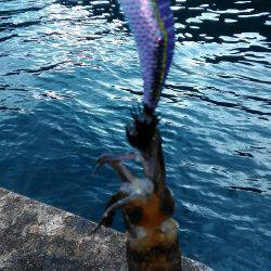 エギングとサビキとヤエン