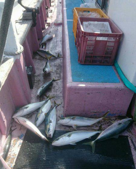 海の大物を探しに旅に出た