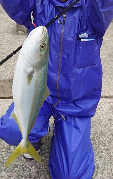 貸し切り爆釣！